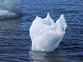 Antarctica, Brown Bluff, ijs drijft voor de kust  