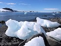 Antarctica, Hope Bay, aangespoelde ijsblokken en A