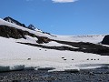 Antarctica, Hope Bay, mooie omgeving met Adelie pi