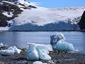 Antarctica, Hope Bay  