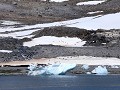 Antarctica, Hope Bay, Adelie pinguïns  