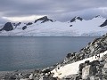 South Shetlands, Half Moon Island, stormband pingu