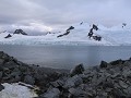 South Shetland Islands, Half Moon Island  
