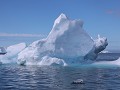Antarctica, Hope Bay, Zodiac tour  