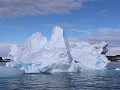 Antarctica, Hope Bay, Zodiac tour  