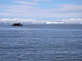 Antarctica, Hope Bay, Zodiac tour  
