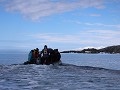 Antarctica, Hope Bay, Zodiac tour  