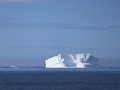 Antarctica, Hope Bay, Zodiac tour  