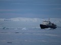 Antarctica, Antarctic Sound, Zodiac avondtour, Pla