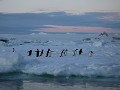 Antarctica, Antarctic Sound, Zodiac avondtour, Ade