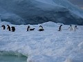 Antarctica, Antarctic Sound, Zodiac avondtour, Ade