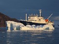 Antarctica, Antarctic Sound, Zodiac avondtour, Pla