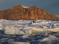 Antarctica, Antarctic Sound, Zodiac avondtour 