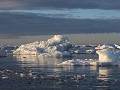 Antarctica, Antarctic Sound, Zodiac avondtour 