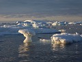 Antarctica, Antarctic Sound, Zodiac avondtour 