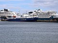 Ushuaia, Plancius ligt tussen de cruiseboten aan d