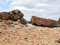 PN Bosques Petrificados de Jaramillo 