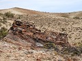 PN Bosques Petrificados de Jaramillo 