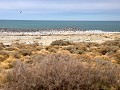 PN Monte León, uitzicht op het vogeleiland  
