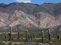 Los Cardones PN, gekleurde bergen en cardon cactus