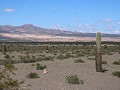 Los Cardones PN, gekleurde bergen en cardon cactus