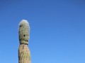 Los Cardones PN, gekleurde bergen en cardon cactus