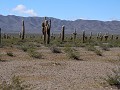 Los Cardones PN, mirador Los Secretos del Cardonal