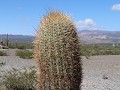 Los Cardones PN, mirador Los Secretos del Cardonal