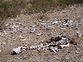 RN40, Cachi naar San Carlos, luguber uitzicht vol 