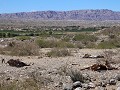 RN40, Cachi naar San Carlos, luguber uitzicht vol 