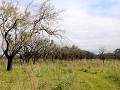 Iberá PN, Portal San Nicolás, wandeling