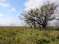 Iberá PN, Portal San Nicolás, wandeling