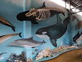 Estancia Herberton, skeletten museum 
