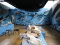 Estancia Herberton, skeletten museum 
