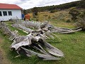 Estancia Herberton, grote karkassen te reinigen do
