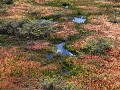 PN Tierra del Fuego, wandeling Laguna Negra 