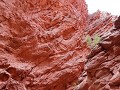 Uquia, Quebrada de las Señoritas, wandelen in de r