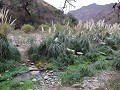 Quebrada de las Higueritas, wandeling in het natuu