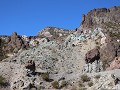 Cañon del Atuel, Museo de Cera, wandeling aan onze