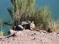 Cañon del Atuel, Valle Grande Reservoir, vos aan d