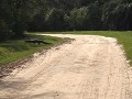 Mburucuyá PN, kaaiman steekt de weg over