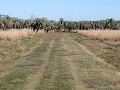 Mburucuyá PN, Sendero Yatay