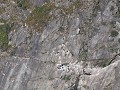 PN Quebrada del Condorito, Balcón Norte, condors i