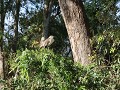 Paraná, Parque Bótanico Leandro N. Alem,  campospo