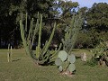 Paraná, Parque Bótanico Leandro N. Alem