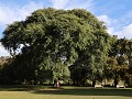 Paraná, Parque Bótanico Leandro N. Alem