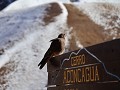 PP Aconcagua, aan uitzicht op Aconcagua