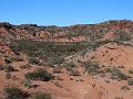 PN Sierra de las Quijadas, wandeling Guanacos