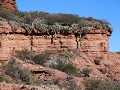 PN Sierra de las Quijadas, wandeling Guanacos