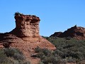 PN Sierra de las Quijadas, wandeling Guanacos